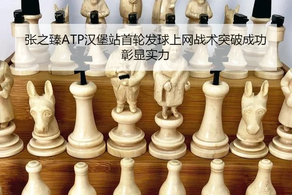 张之臻ATP汉堡站首轮发球上网战术突破成功彰显实力