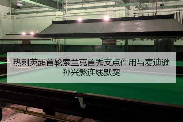热刺英超首轮索兰克首秀支点作用与麦迪逊孙兴慜连线默契
